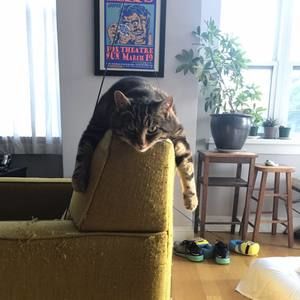 Meet your Posher, Rachel